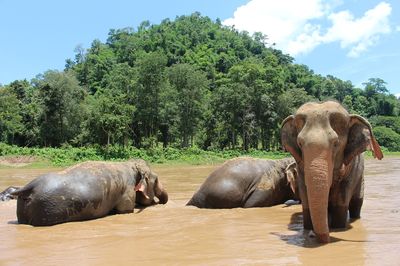 Akční letenky Chiang Mai - Vyhledávač