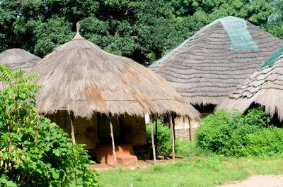Akční letenky Guinea - Vyhledávač