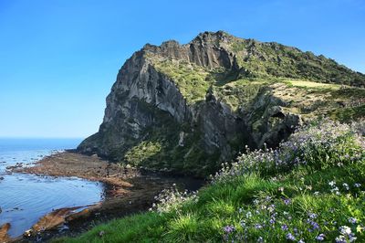 Akční letenky Jeju  - Vyhledávač