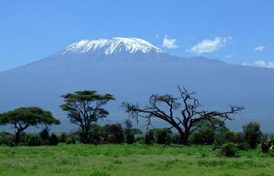 Vyhledej akční letenky - Kilimandžáro