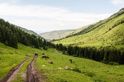 Akční letenky Kyrgyzstán - Vyhledávač