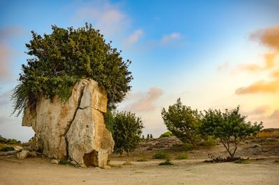 Akční letenky Paphos - Vyhledávač